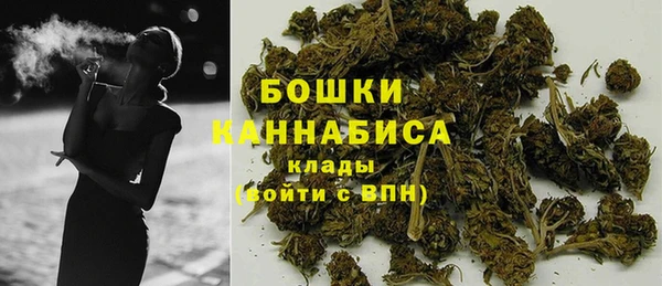 ПСИЛОЦИБИНОВЫЕ ГРИБЫ Верхнеуральск